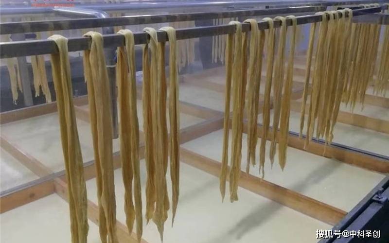 熊猫体育app官方入口2025深圳豆腐干机械TOP5